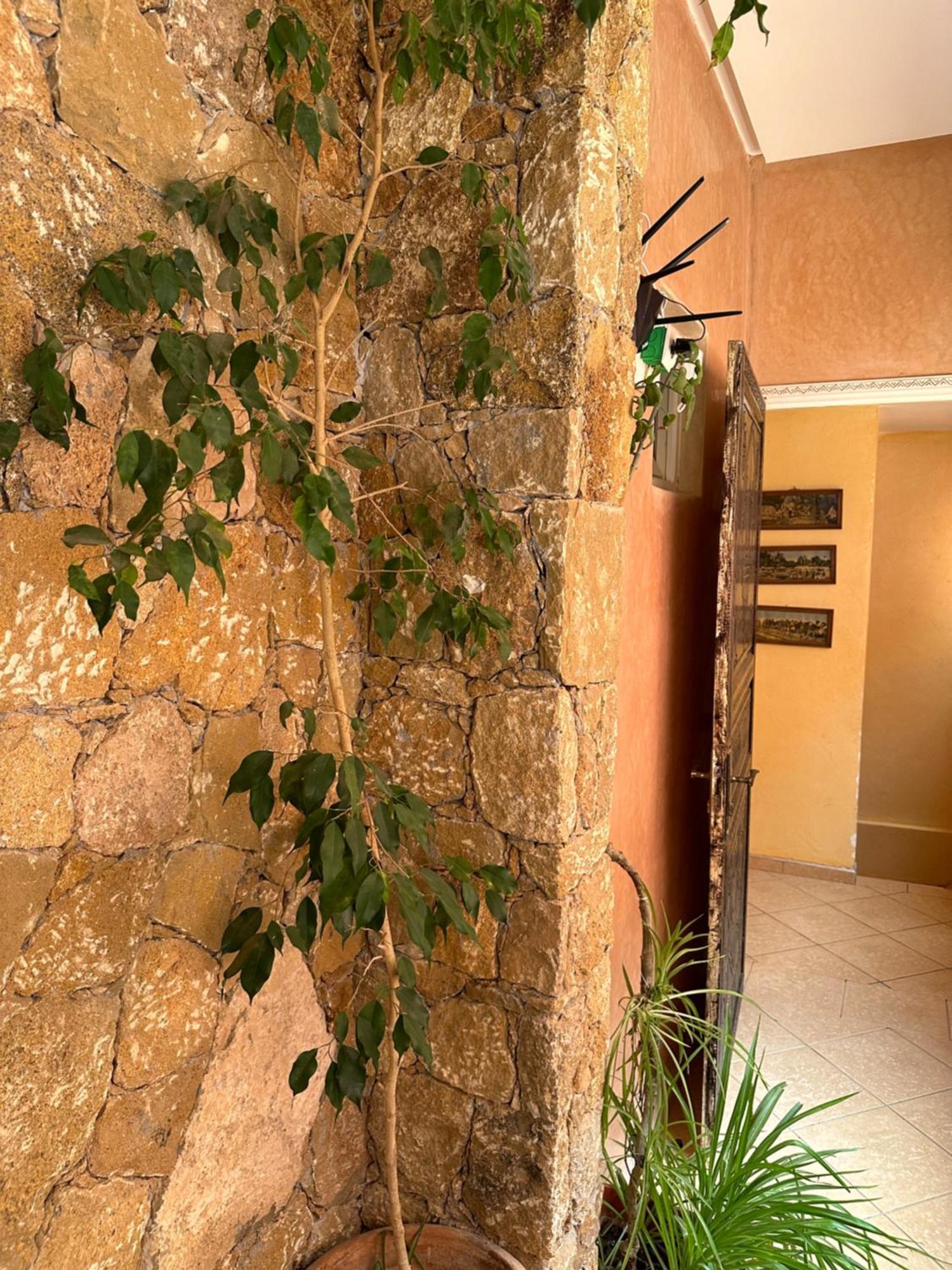 Europa Mirlef T Aventur Guest House ミルレフト エクステリア 写真